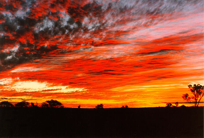 altocumulus altocumulus_cloud : Armidale, NSW   26 September 1998