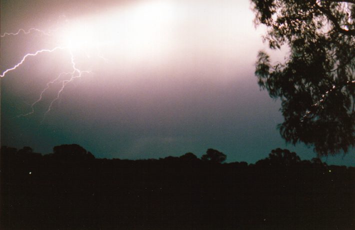 contributions received : Murtoa, VIC<BR>Photo by Paul Yole   1 October 1998