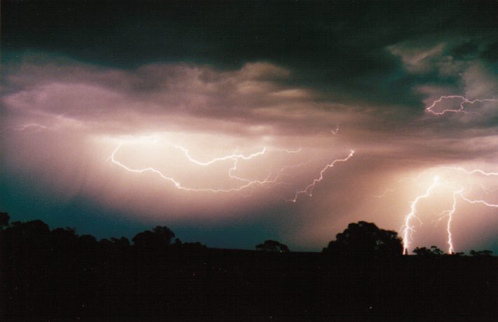 contributions received : Murtoa, VIC<BR>Photo by Paul Yole   1 October 1998