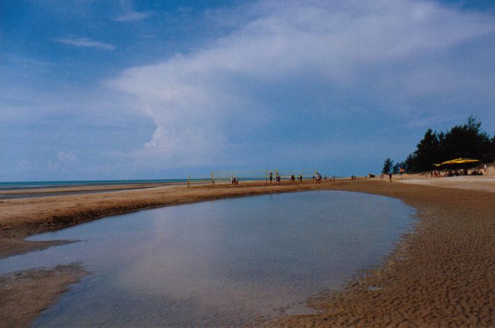 contributions received : Darwin, NT<BR>Photo by John Bath   14 October 1998