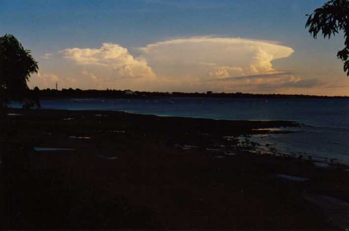 contributions received : Darwin, NT<BR>Photo by John Bath   14 October 1998