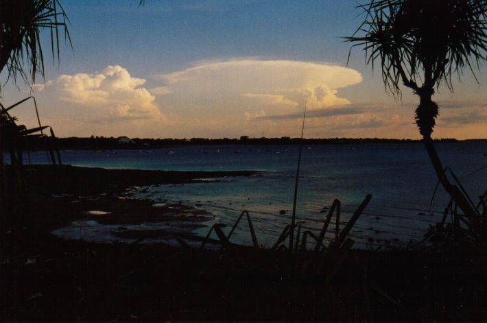 contributions received : Darwin, NT<BR>Photo by John Bath   14 October 1998