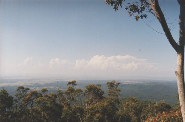 cumulus congestus : Mt Sugarloaf, NSW   7 November 1998