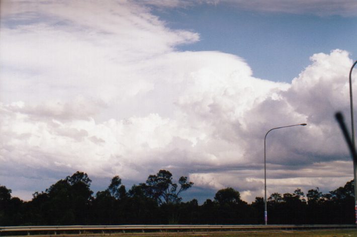 cumulus congestus : Cecil Park, NSW   13 November 1998