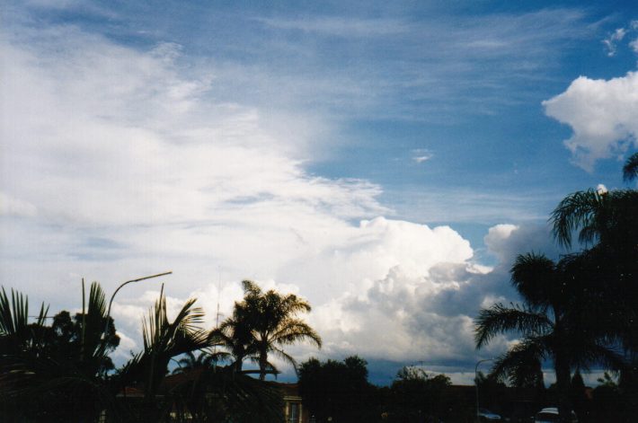 thunderstorm cumulonimbus_calvus : Oakhurst, NSW   13 November 1998