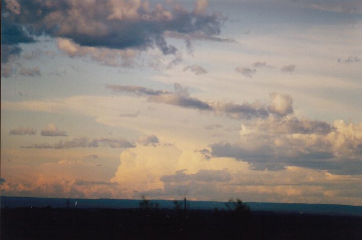 cumulus mediocris : Horsley Park, NSW   13 November 1998