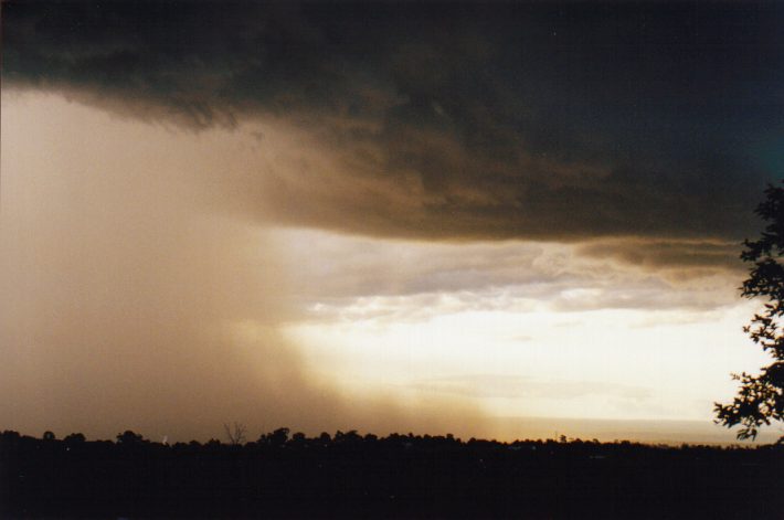 microburst micro_burst : Horsley Park, NSW   13 November 1998