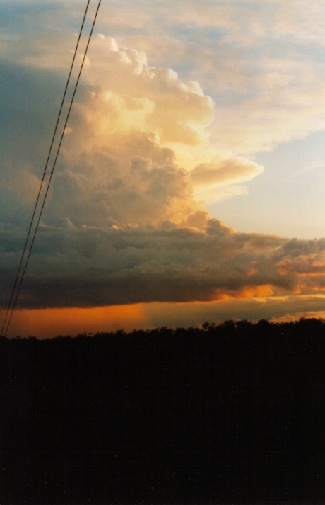 contributions received : Sydney, NSW<BR>Photo by Rune Peitersen   13 November 1998