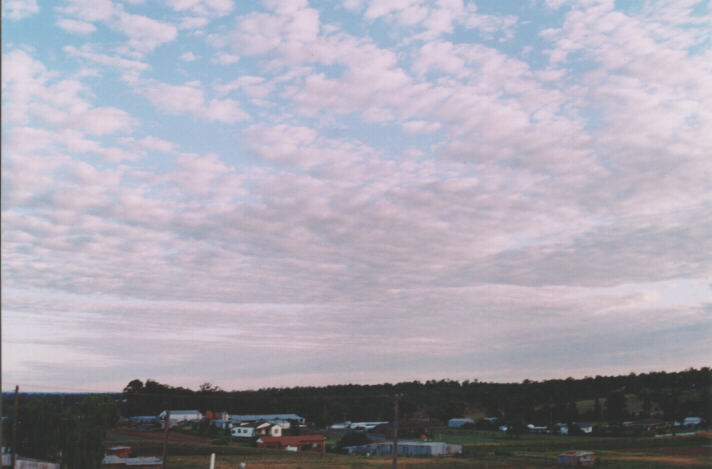 altocumulus mackerel_sky : Schofields, NSW   22 November 1998