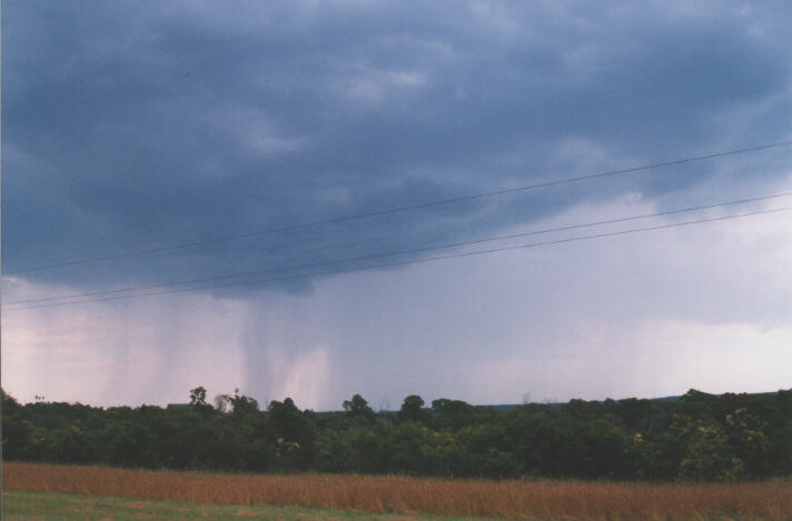 raincascade precipitation_cascade : Warragamba, NSW   11 December 1998