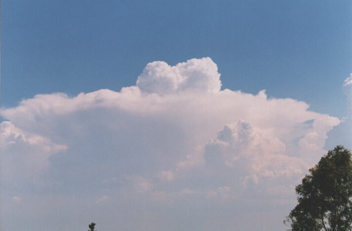 overshoot overshooting_top : Luddenham, NSW   12 December 1998