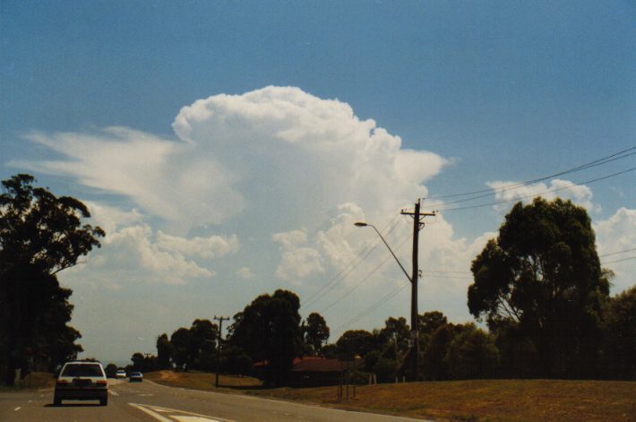 cumulus congestus : St Marys, NSW   12 December 1998