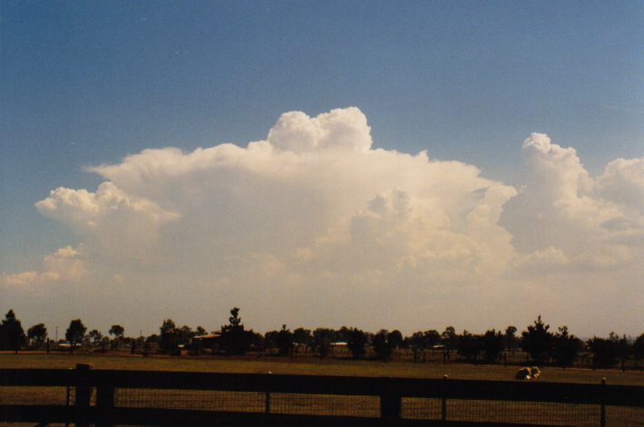 thunderstorm cumulonimbus_incus : Luddenham, NSW   12 December 1998