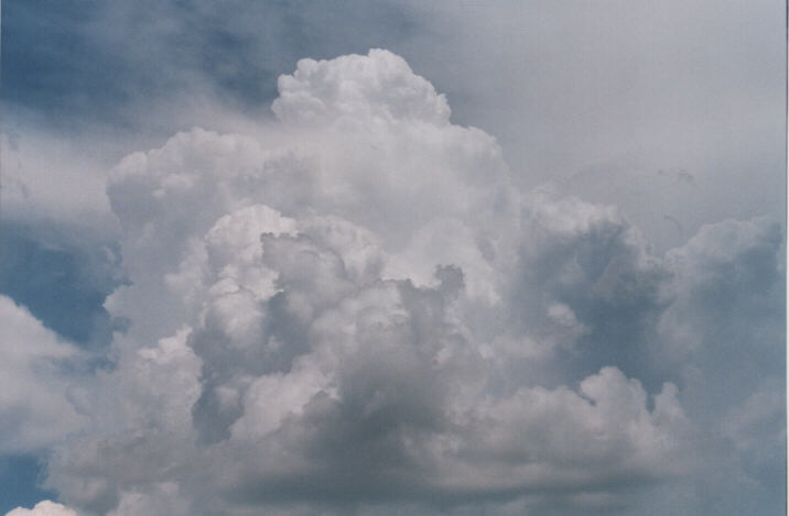 updraft thunderstorm_updrafts : Lithgow, NSW   13 December 1998