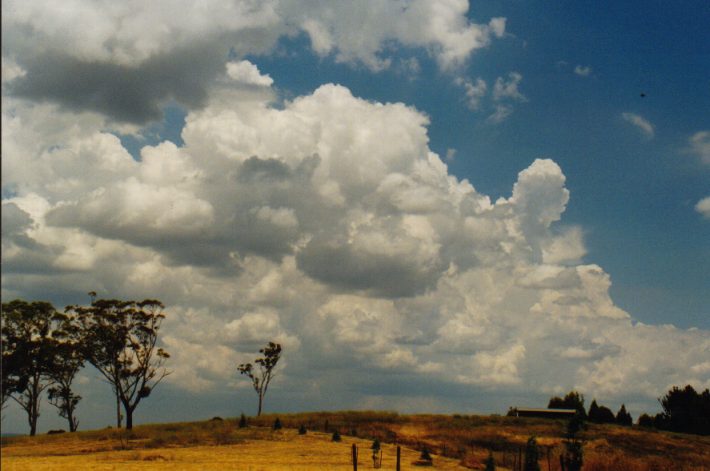 cumulus congestus : Lithgow, NSW   13 December 1998