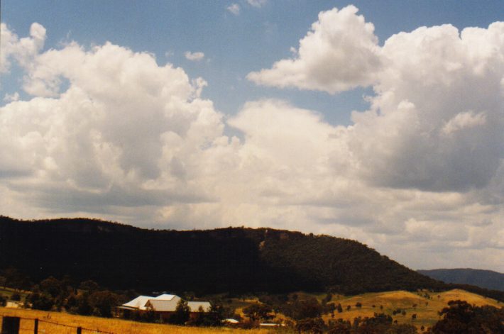 cumulus mediocris : Lithgow, NSW   13 December 1998