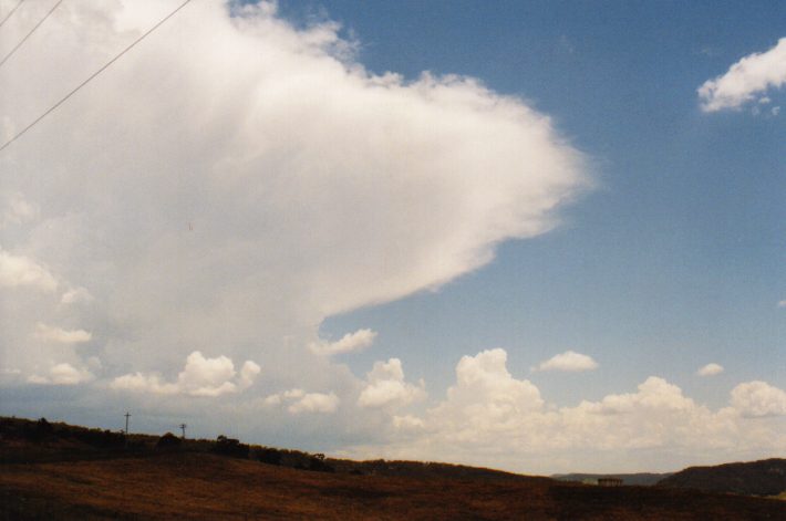 anvil thunderstorm_anvils : Jenolan Caves Rd, NSW   13 December 1998