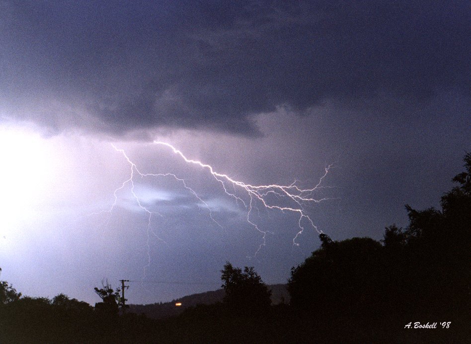 contributions received : Latrobe, TAS<BR>Photo by Andrew Boskell   24 December 1998