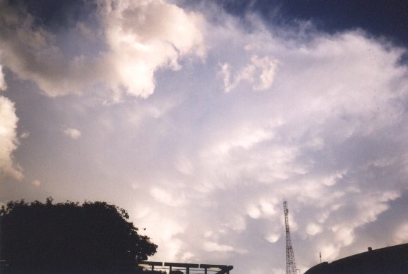 contributions received : Boronia, VIC<BR>Photo by David Jeffrey   24 December 1998