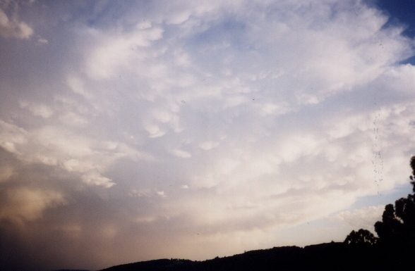 contributions received : Boronia, VIC<BR>Photo by David Jeffrey   24 December 1998