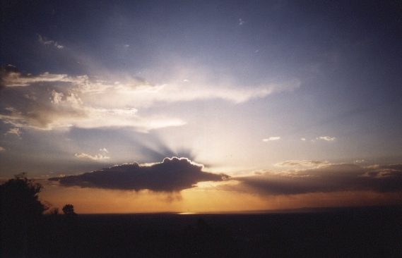 contributions received : Boronia, VIC<BR>Photo by David Jeffrey   24 December 1998