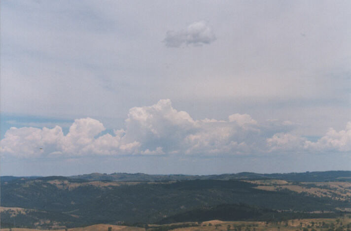 cumulus congestus : Lithgow, NSW   26 December 1998