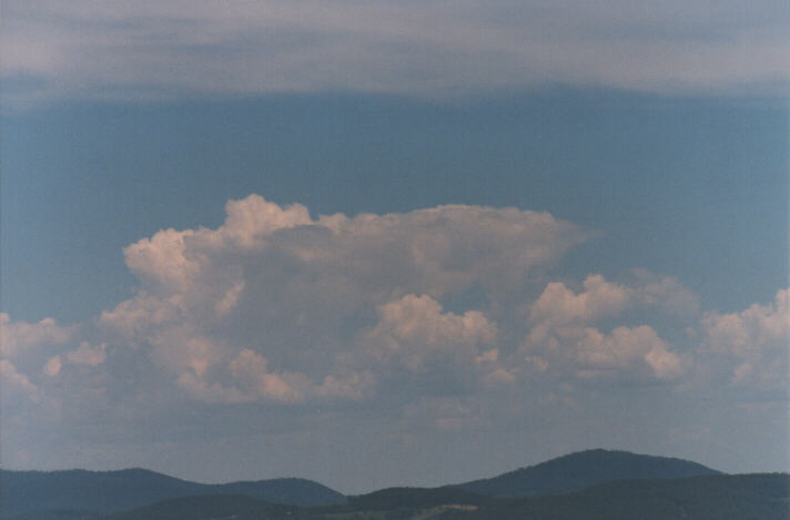 cumulus congestus : Lithgow, NSW   26 December 1998