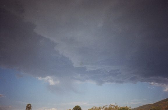 contributions received : Boronia, VIC<BR>Photo by David Jeffrey   2 January 1999