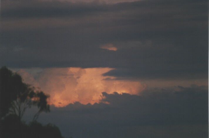 altocumulus altocumulus_cloud : Canberra, ACT   2 January 1999