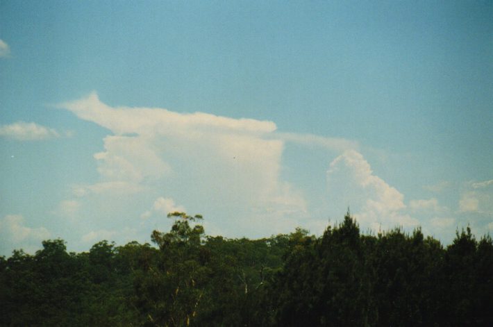 thunderstorm cumulonimbus_incus : near Putty, NSW   3 January 1999