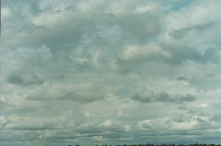 altocumulus altocumulus_cloud : Schofields, NSW   27 January 1999