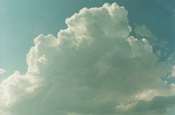 thunderstorm cumulonimbus_calvus : Rooty Hill, NSW   29 January 1999