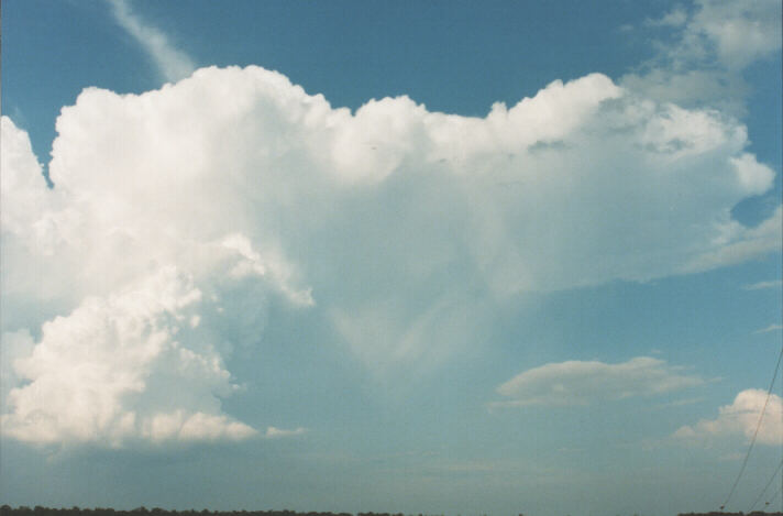 updraft thunderstorm_updrafts : Schofields, NSW   29 January 1999