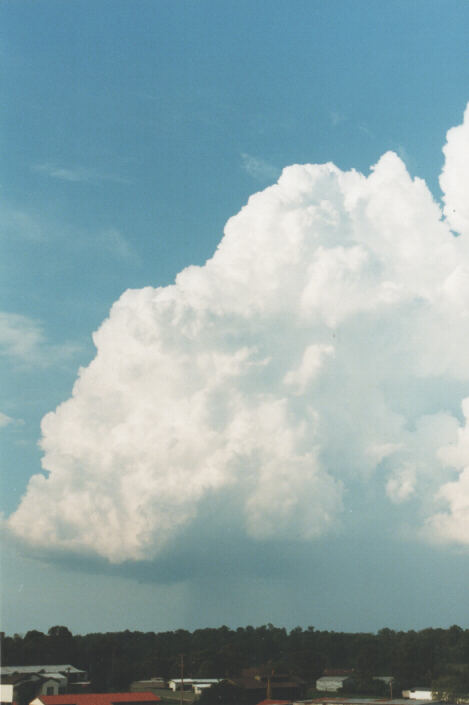 thunderstorm cumulonimbus_calvus : Schofields, NSW   29 January 1999