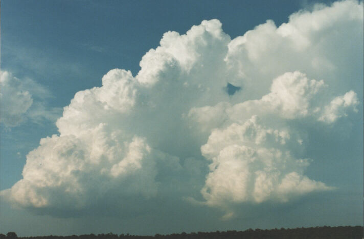 thunderstorm cumulonimbus_calvus : Schofields, NSW   29 January 1999