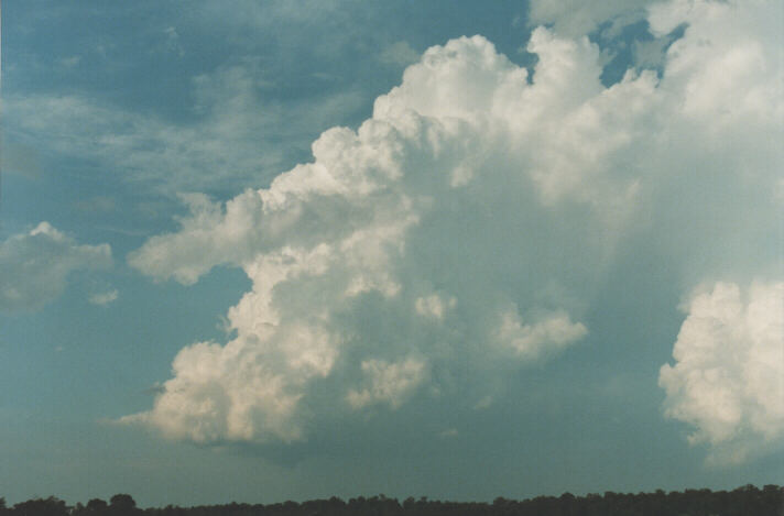 thunderstorm cumulonimbus_calvus : Schofields, NSW   29 January 1999