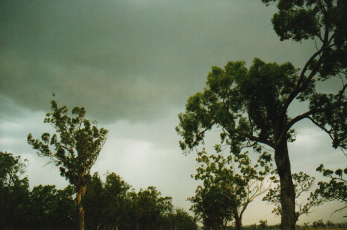 cumulonimbus thunderstorm_base : NW of Gunnedah, NSW   30 January 1999