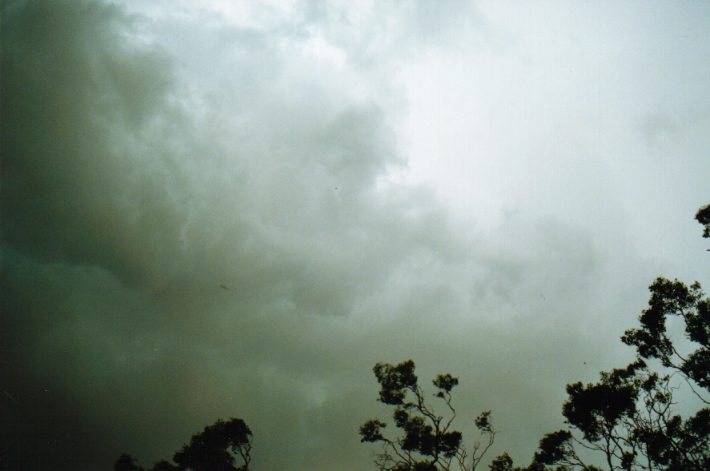 cumulonimbus thunderstorm_base : NW of Gunnedah, NSW   30 January 1999