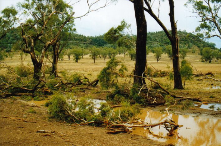 disasters storm_damage : NW of Boggabri, NSW   30 January 1999