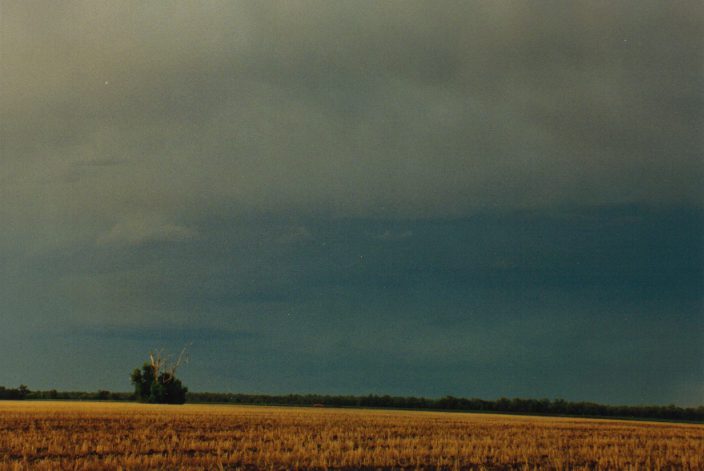 raincascade precipitation_cascade : W of Moree, NSW   30 January 1999