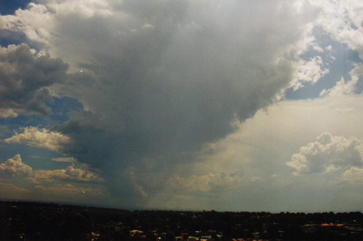 cumulus congestus : Rooty Hill, NSW   4 March 1999