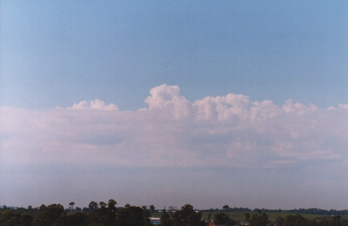 altocumulus castellanus : Schofields, NSW   13 March 1999