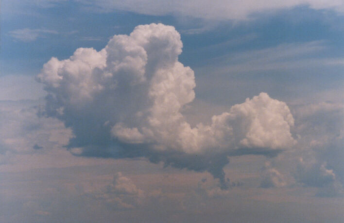 cumulus congestus : Rooty Hill, NSW   13 March 1999