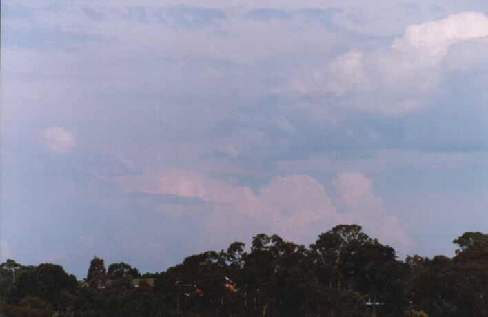 thunderstorm cumulonimbus_calvus : Rooty Hill, NSW   13 March 1999