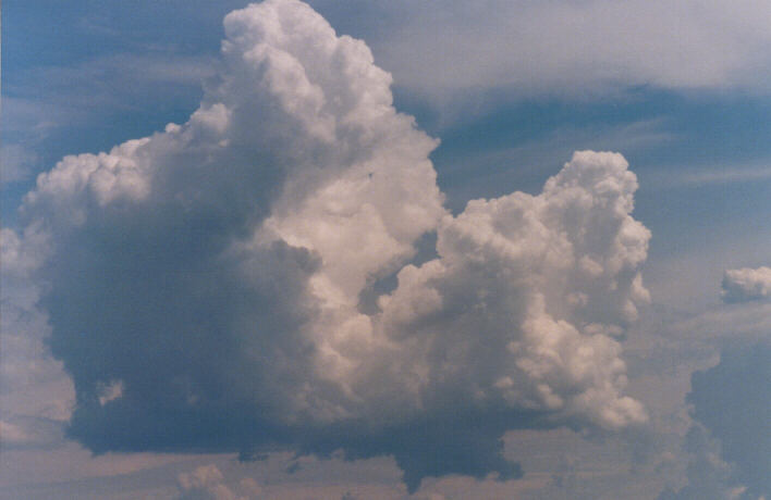 cumulus congestus : Rooty Hill, NSW   13 March 1999