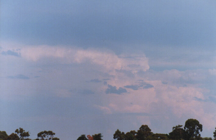 thunderstorm cumulonimbus_incus : Rooty Hill, NSW   13 March 1999