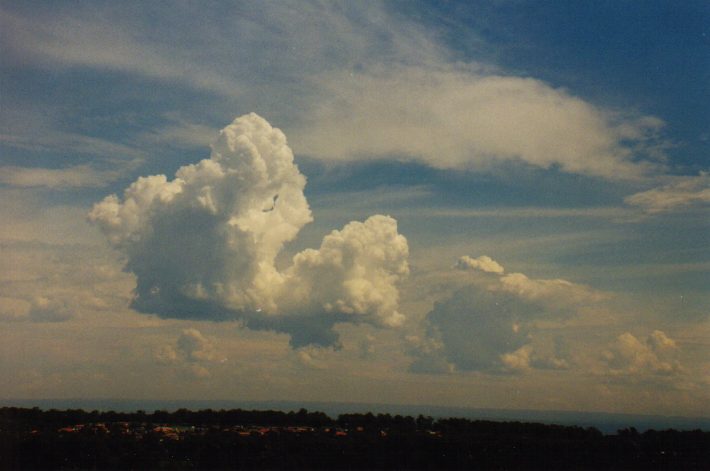 cumulus congestus : Rooty Hill, NSW   13 March 1999