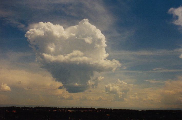 cumulus congestus : Rooty Hill, NSW   13 March 1999