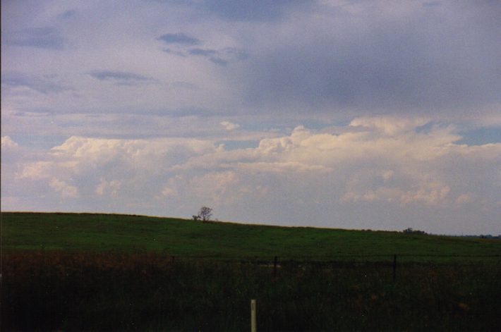 thunderstorm cumulonimbus_incus : Luddenham, NSW   13 March 1999