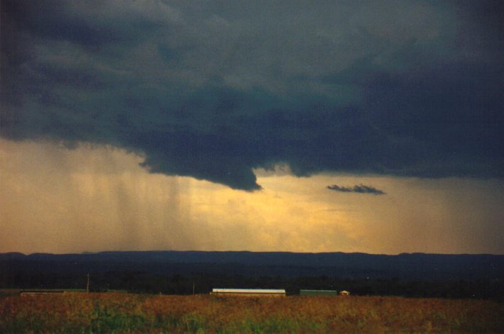 raincascade precipitation_cascade : Luddenham, NSW   13 March 1999